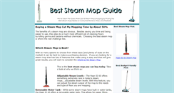 Desktop Screenshot of beststeammop.com